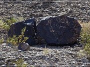 Antelope Hill Petroglyphs