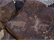 Black Canyon Petroglyphs