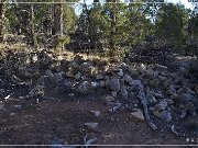 Goodman Point Group