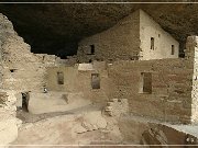 Spruce Tree House