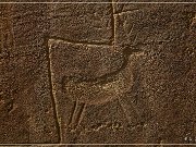 Largo Canyon Petroglyphs