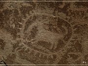 Cedar Mountain Petroglyph Sites